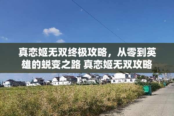 真恋姬无双终极攻略，从零到英雄的蜕变之路 真恋姬无双攻略
