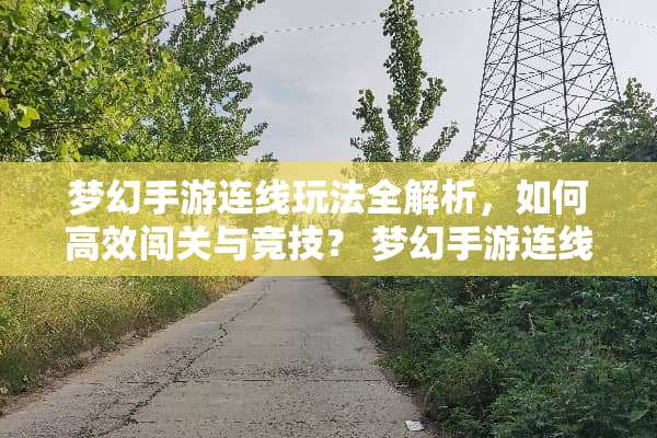 梦幻手游连线玩法全解析，如何高效闯关与竞技？ 梦幻手游连线玩法