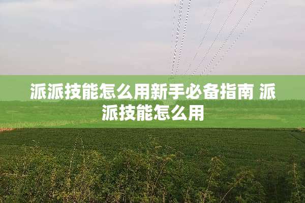 派派技能怎么用新手必备指南 派派技能怎么用