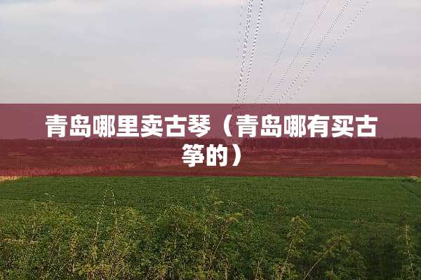 青岛哪里卖古琴（青岛哪有买古筝的）