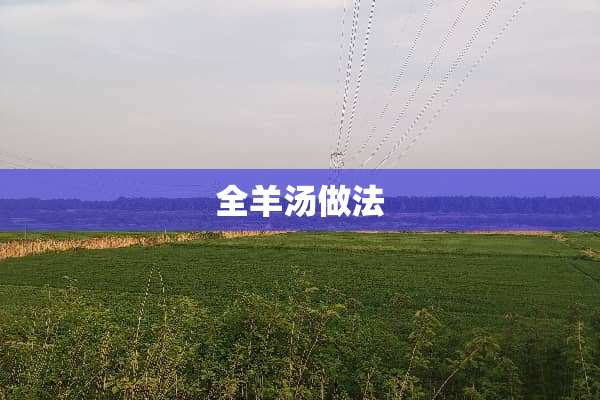 全羊汤做法