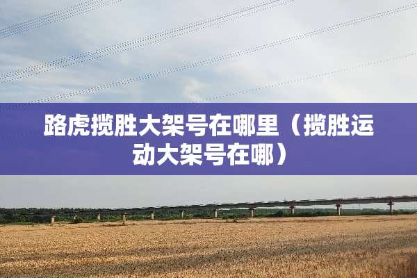 路虎揽胜大架号在哪里（揽胜运动大架号在哪）