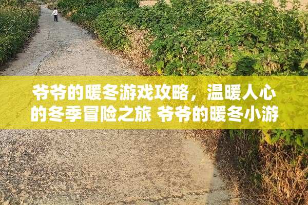 爷爷的暖冬游戏攻略，温暖人心的冬季冒险之旅 爷爷的暖冬小游戏攻略