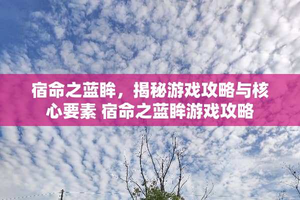 宿命之蓝眸，揭秘游戏攻略与核心要素 宿命之蓝眸游戏攻略