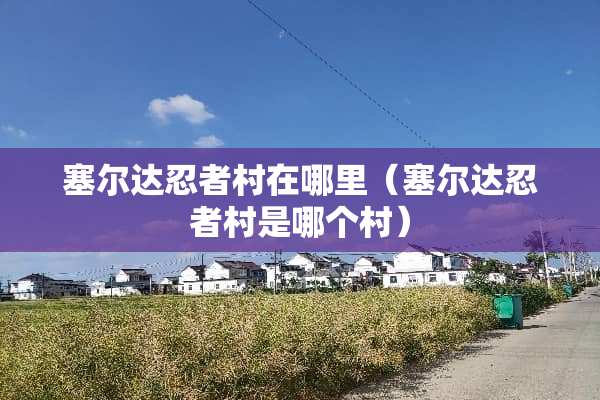 塞尔达忍者村在哪里（塞尔达忍者村是哪个村）