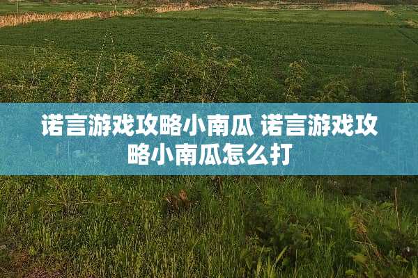 诺言游戏攻略小南瓜 诺言游戏攻略小南瓜怎么打