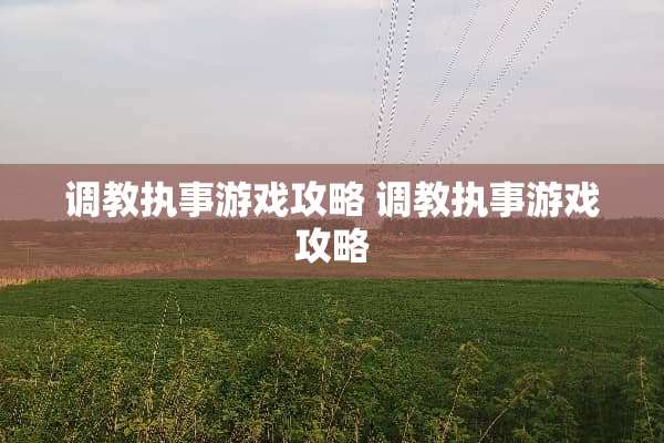 **执事游戏攻略**执事游戏攻略