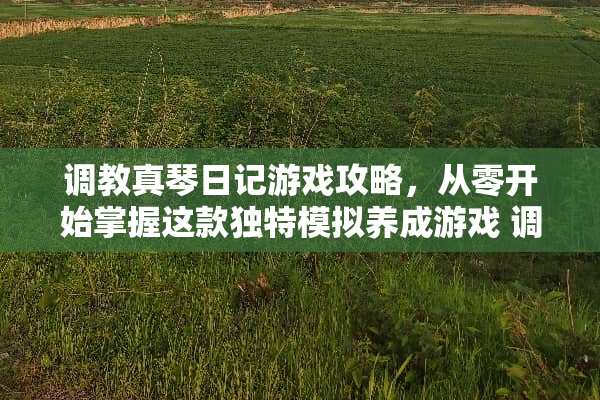 **真琴日记游戏攻略，从零开始掌握这款独特模拟养成游戏**真琴日记游戏攻略