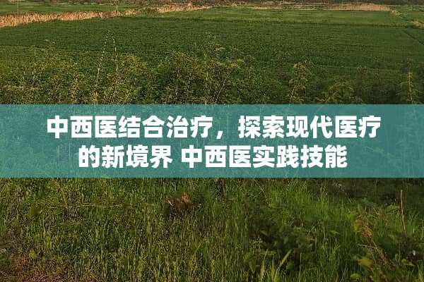 中西医结合治疗，探索现代医疗的新境界 中西医实践技能