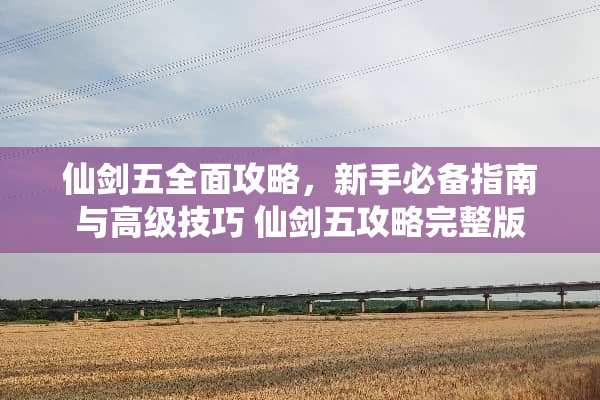 仙剑五全面攻略，新手必备指南与高级技巧 仙剑五攻略完整版