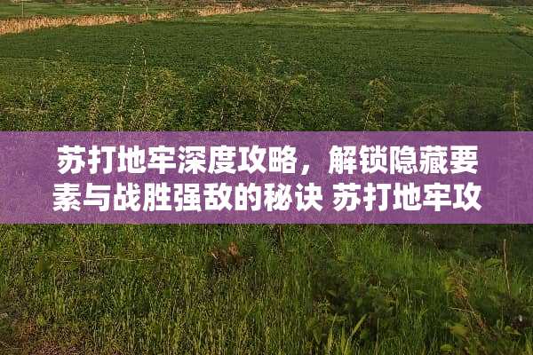 苏打地牢深度攻略，解锁隐藏要素与战胜强敌的秘诀 苏打地牢攻略