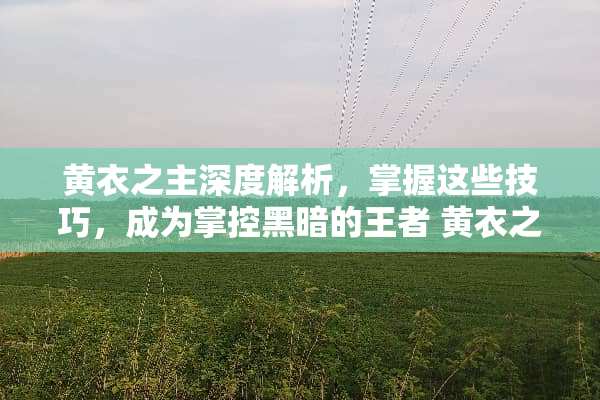 黄衣之主深度解析，掌握这些技巧，成为掌控黑暗的王者 黄衣之主玩法