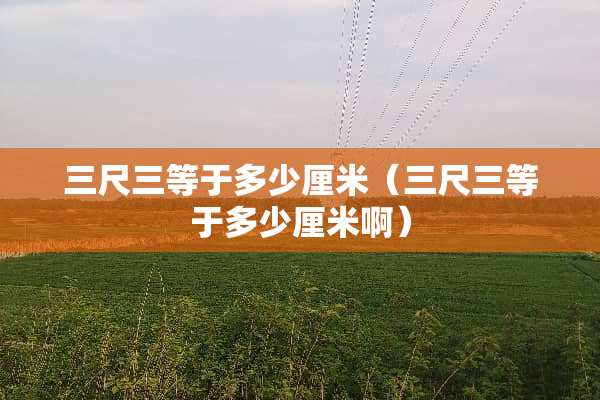 三尺三等于多少厘米（三尺三等于多少厘米啊）