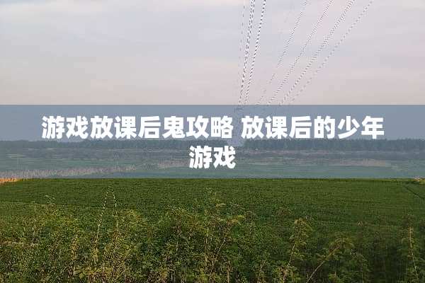 游戏放课后鬼攻略 放课后的少年游戏