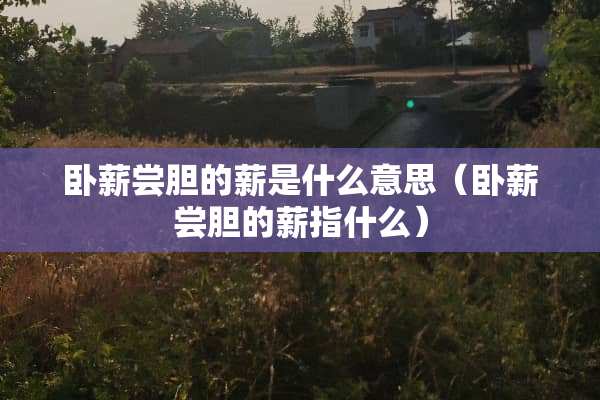 卧薪尝胆的薪是什么意思（卧薪尝胆的薪指什么）