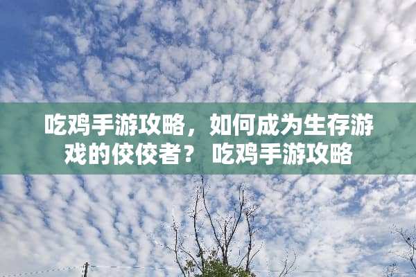 吃鸡手游攻略，如何成为生存游戏的佼佼者？ 吃鸡手游攻略