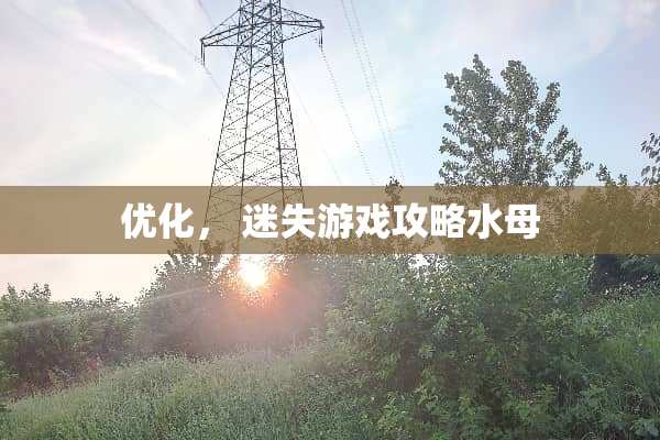 优化， 迷失游戏攻略水母