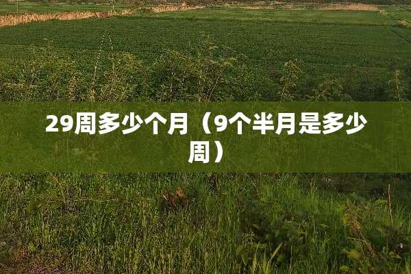 29周多少个月（9个半月是多少周）