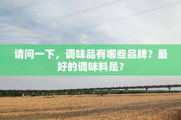 请问一下，调味品有哪些品牌？最好的调味料是？