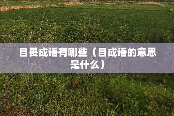 目畏成语有哪些（目成语的意思是什么）