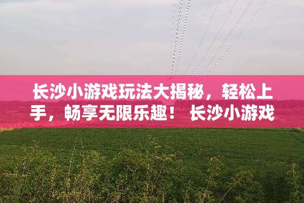 长沙小游戏玩法大揭秘，轻松上手，畅享无限乐趣！ 长沙小游戏玩法攻略