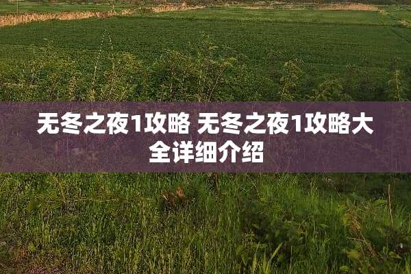 无冬之夜1攻略 无冬之夜1攻略大全详细介绍