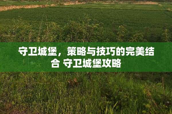 守卫城堡，策略与技巧的完美结合 守卫城堡攻略