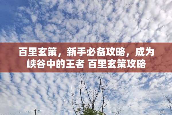 百里玄策，新手必备攻略，成为峡谷中的王者 百里玄策攻略