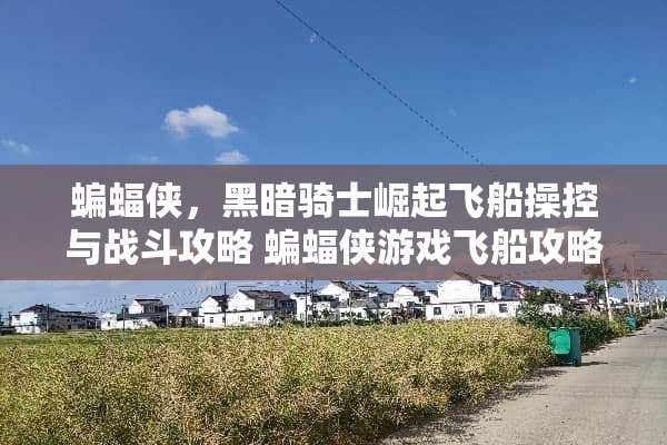 蝙蝠侠，黑暗骑士崛起飞船操控与战斗攻略 蝙蝠侠游戏飞船攻略