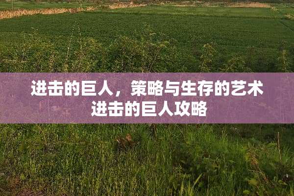 进击的巨人，策略与生存的艺术 进击的巨人攻略