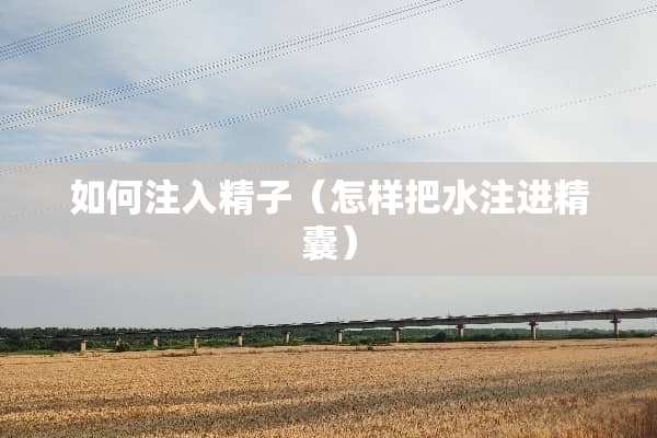 如何注入**（怎样把水注进精囊）