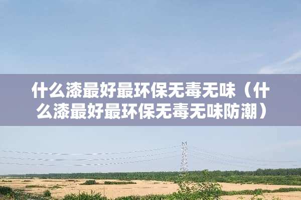 什么漆最好最环保无毒无味（什么漆最好最环保无毒无味防潮）