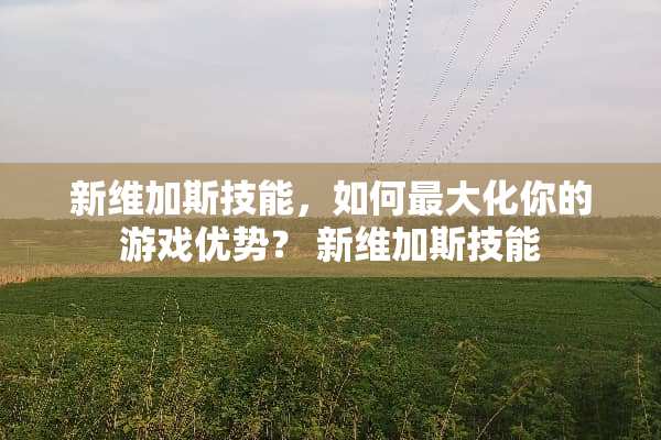 新维加斯技能，如何最大化你的游戏优势？ 新维加斯技能
