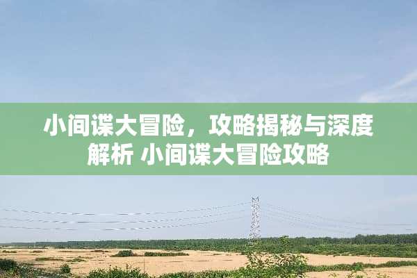 小间谍大冒险，攻略揭秘与深度解析 小间谍大冒险攻略