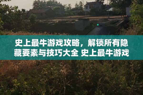 史上最牛游戏攻略，解锁所有隐藏要素与技巧大全 史上最牛游戏攻略