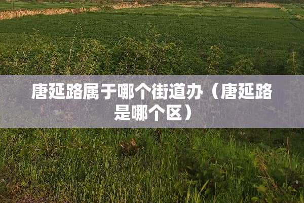 唐延路属于哪个街道办（唐延路是哪个区）