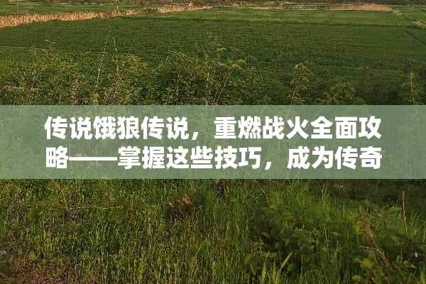 传说饿狼传说，重燃战火全面攻略——掌握这些技巧，成为传奇霸主！ 游戏攻略传说饿狼传说