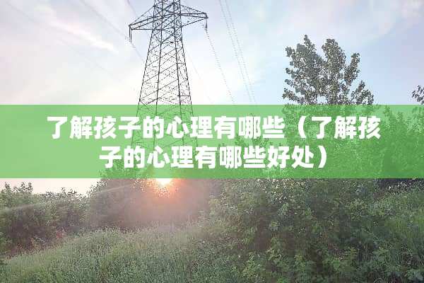 了解孩子的心理有哪些（了解孩子的心理有哪些好处）