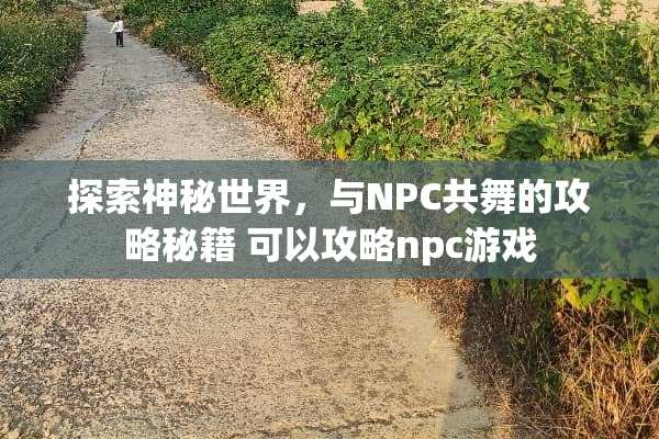 探索神秘世界，与NPC共舞的攻略秘籍 可以攻略npc游戏