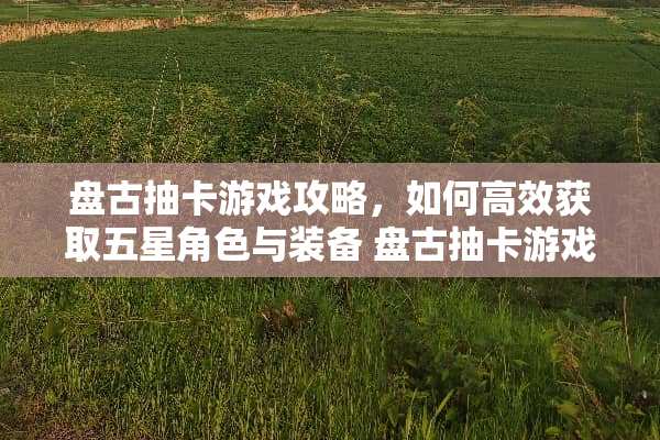 **抽卡游戏攻略，如何高效获取五星角色与装备**抽卡游戏攻略