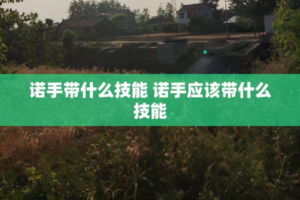 诺手带什么技能 诺手应该带什么技能