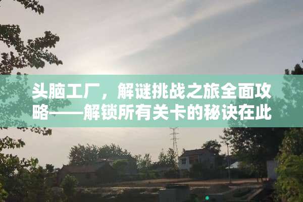 头脑工厂，解谜挑战之旅全面攻略——解锁所有关卡的秘诀在此！ 头脑工厂游戏攻略大全