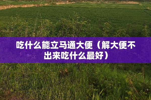 吃什么能立马通大便（解大便不出来吃什么最好）
