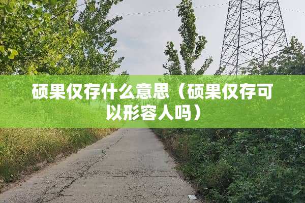 硕果仅存什么意思（硕果仅存可以形容人吗）