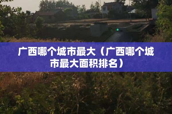 广西哪个城市最大（广西哪个城市最大面积排名）