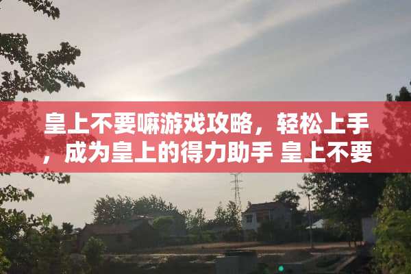 皇上不要嘛游戏攻略，轻松上手，成为皇上的得力助手 皇上不要嘛游戏攻略