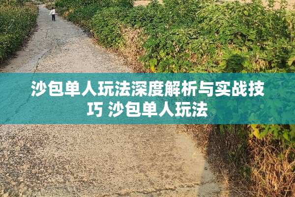 沙包单人玩法深度解析与实战技巧 沙包单人玩法