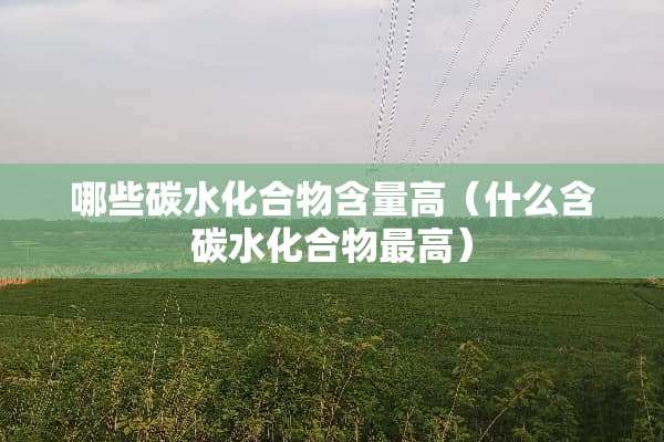 哪些碳水化合物含量高（什么含碳水化合物最高）