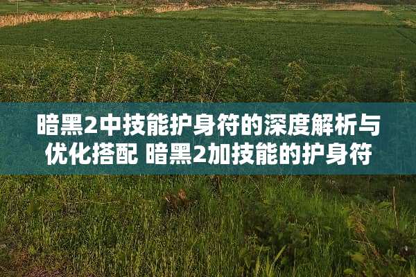 暗黑2中技能护身符的深度解析与优化搭配 暗黑2加技能的护身符