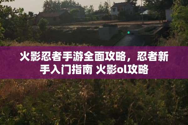 火影忍者手游全面攻略，忍者新手入门指南 火影ol攻略
